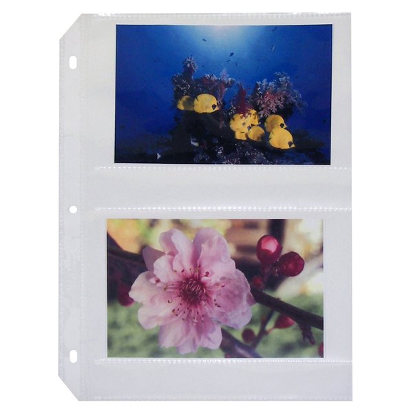 C-Line Products 35mm Ring Binder Photo Storage Pages  4 x 6, Traditional clear  side load, 11 14 x 8 18, 50PK 52564